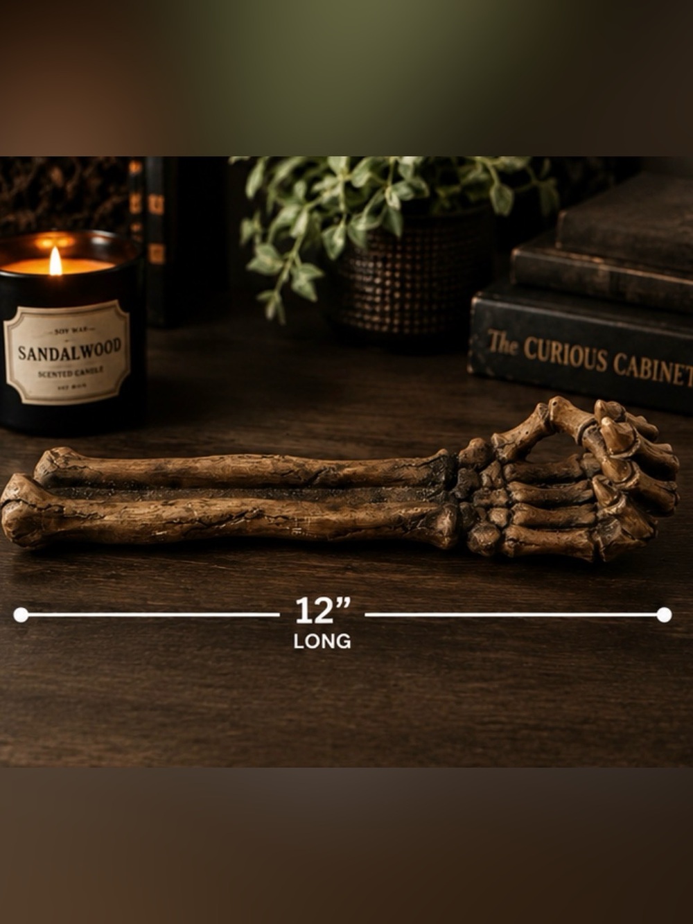 12" Decorative Skeleton Arm